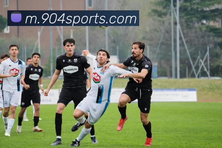 体育下注平台生态图